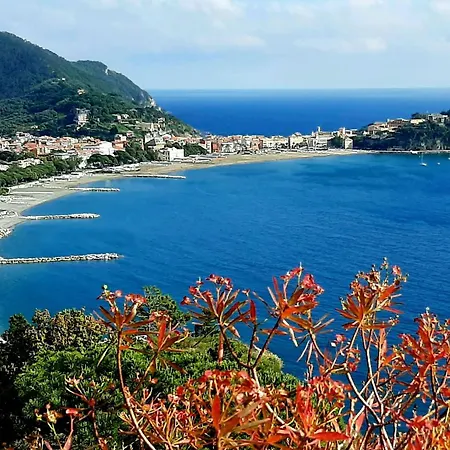 Brunetta By Interhome